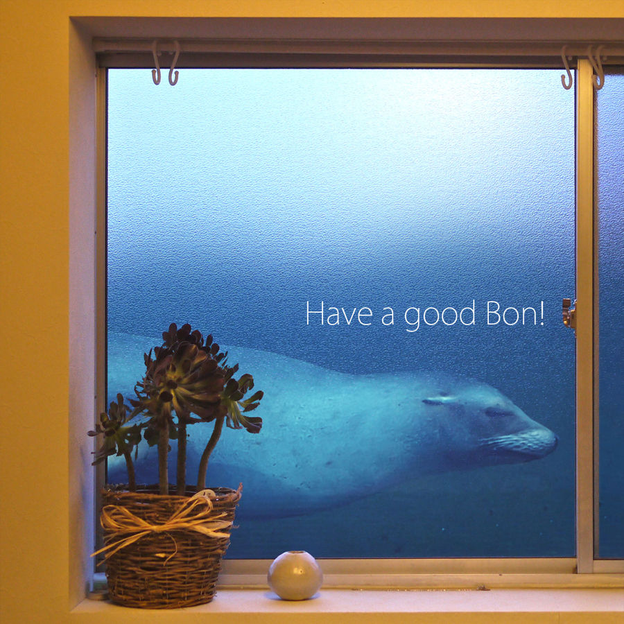 Have a good Bon